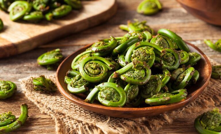 Sauteed Fiddleheads with Garlic and Lemon, Worth Trying!